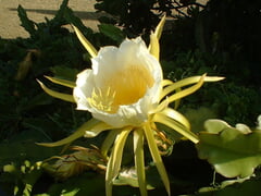 How to deal with Sales stress